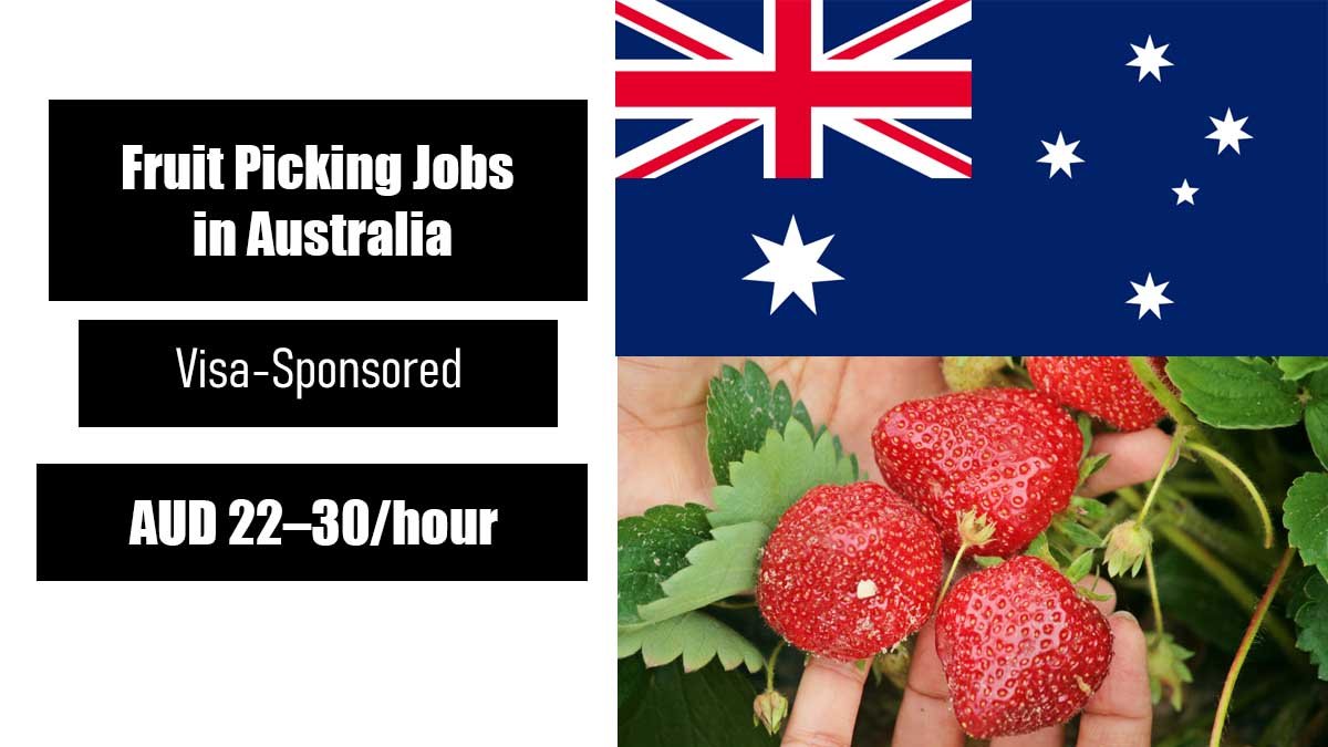Fruit Picking Jobs in Australia